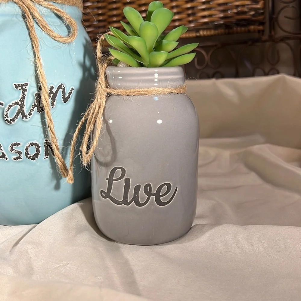 Decorative mason Jars Large Blue &‎ Small gray with faux succulent Glass